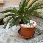 Apartment Goa Sea - In Centro Garden&freepark Genoa