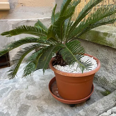 Apartment Goa Sea Apartment - Appartamento In Centro Garden&Freepark Genoa